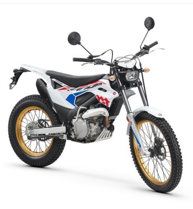 Bild von Neue Honda-Montesa 4 Ride 260 4T 2022 